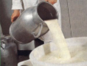 Fabrication du camembert